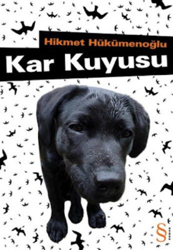 Kar Kuyusu