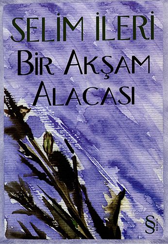 Bir Akşam Alacası