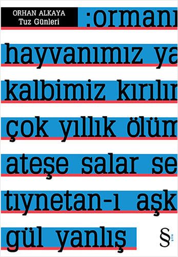 Tuz Günleri