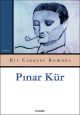 Bir Cinayet Romanı