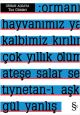 Tuz Günleri