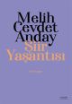 Şiir Yaşantısı - Şiir Yazıları